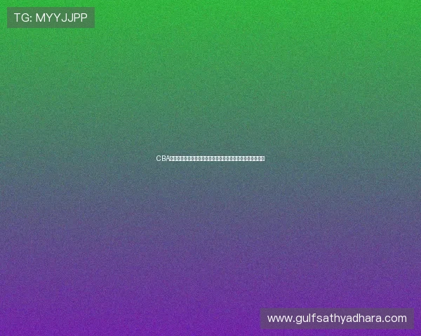 CBA官方订票平台权威指南助你轻松抢票观赛全攻略赛季必备秘籍