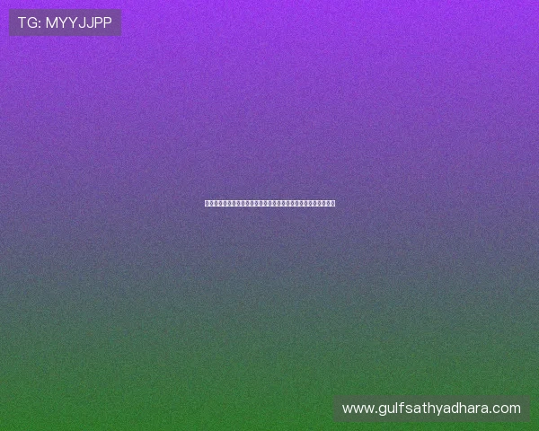 樊振东征战德甲联赛开启中国乒乓新篇章与欧洲舞台共振时代力量