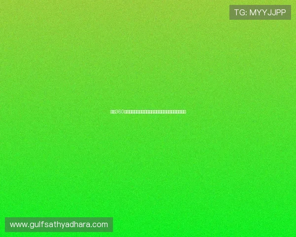 雨燕360体育直播打造全民畅享高清赛事互动新体验平台观看乐趣